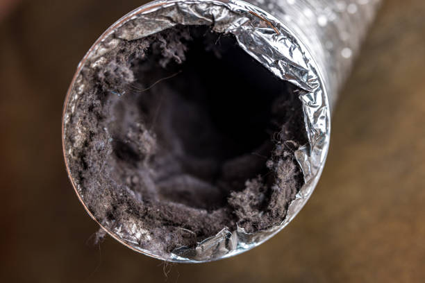 Best Dryer Vent Cleaning in Pinebluff, NC