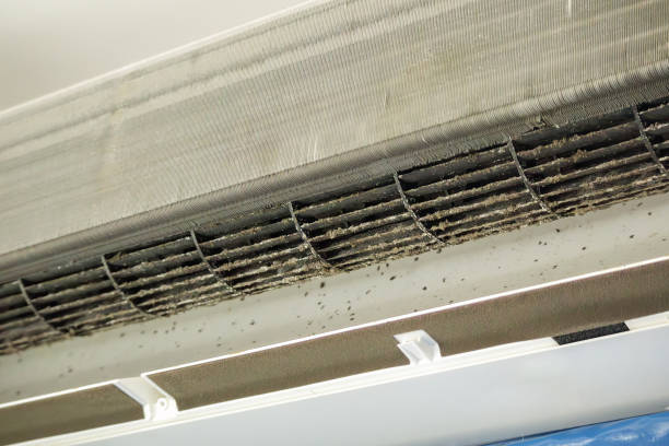 Best Mold and Mildew Removal from Ducts in Pinebluff, NC